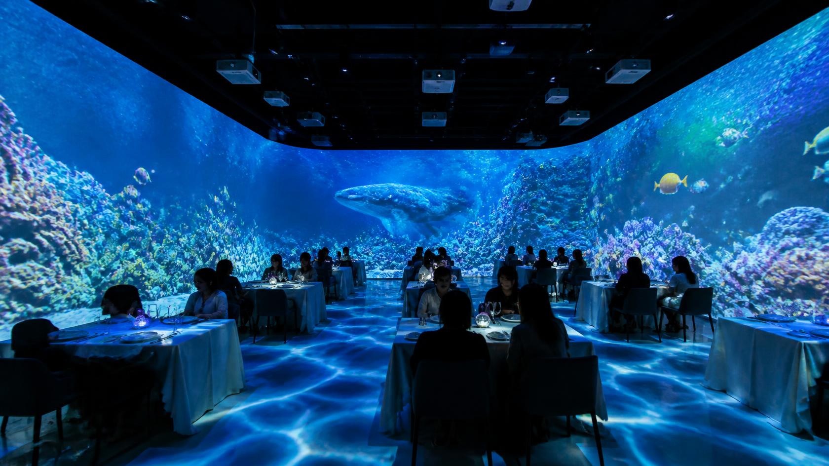 5D Immersive Light & Shadow Restaurant System Solution product visual gallery visual 3