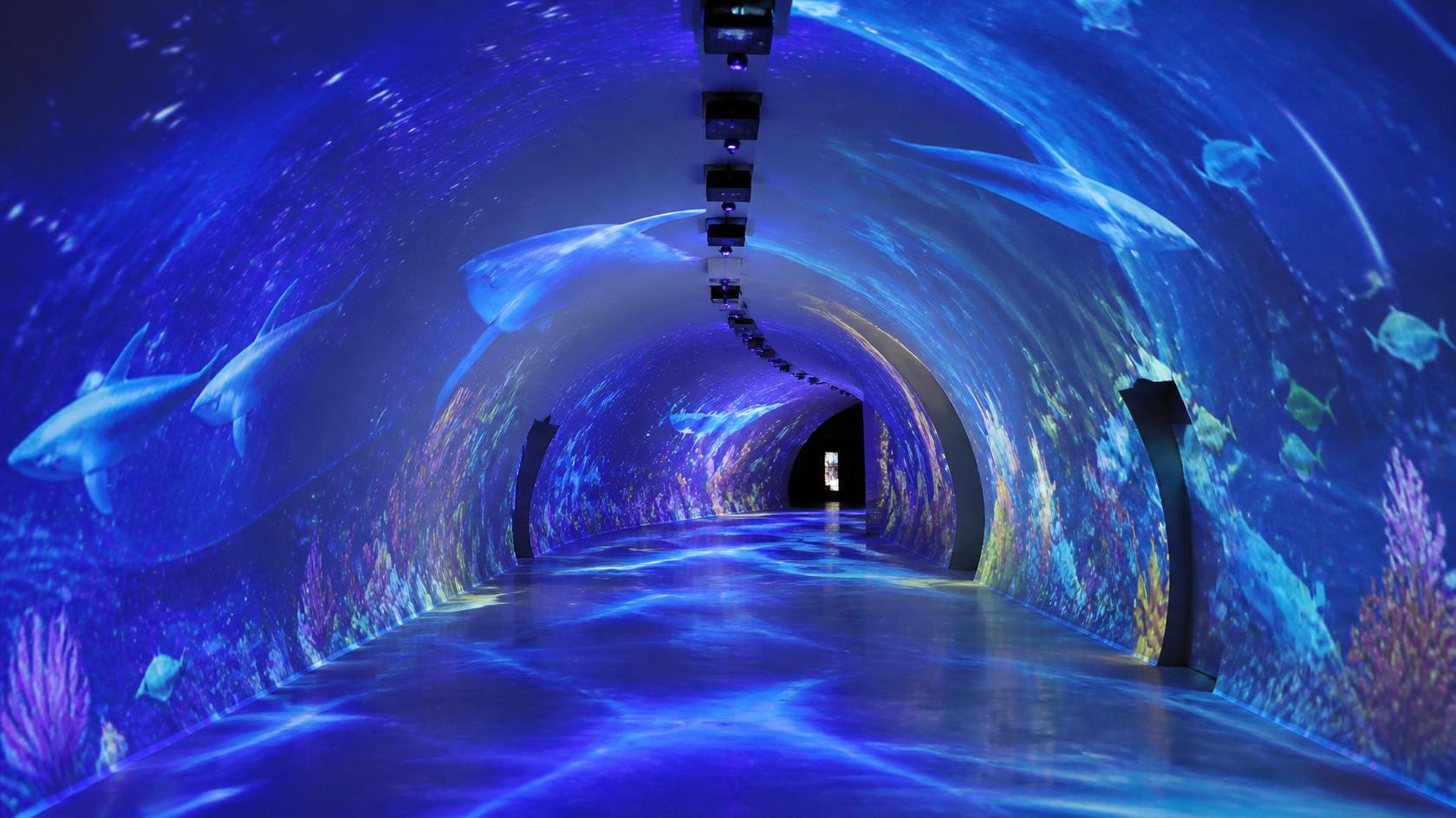 Immersive Light and Shadow Tunnel Projection System Solution product visual gallery visual 1