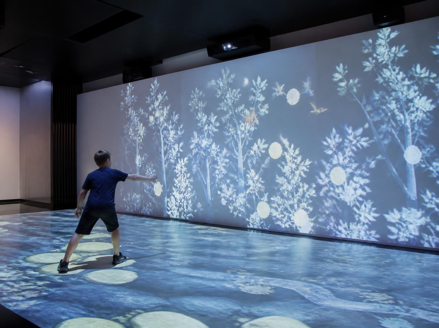Interactive projection system technology
